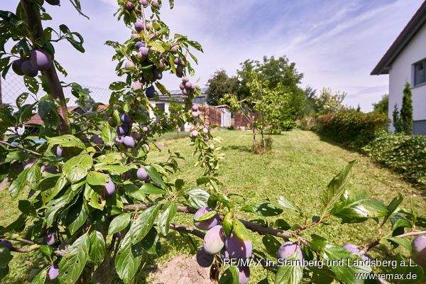 Sonniger Garten mit Obstbaumbestand