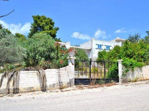 Peloponnes Wohnungen, Peloponnes Wohnung kaufen