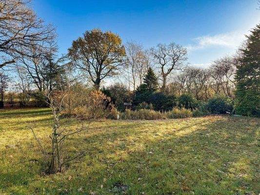 17. Großzügiger Gartenbereich.jpg