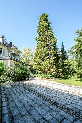 Ansicht mit Mamutbaum