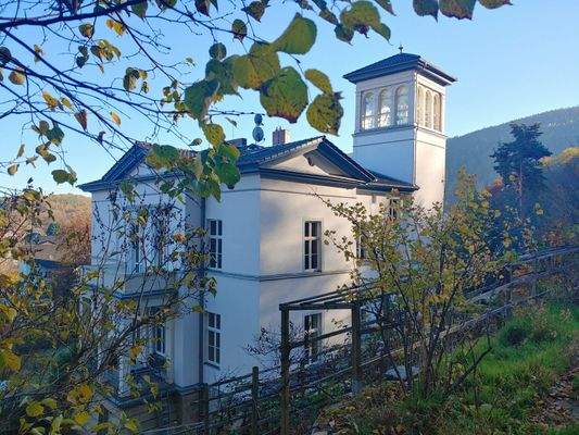 Bestandsfoto Hinteransicht