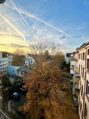 Ausblick von der Küche