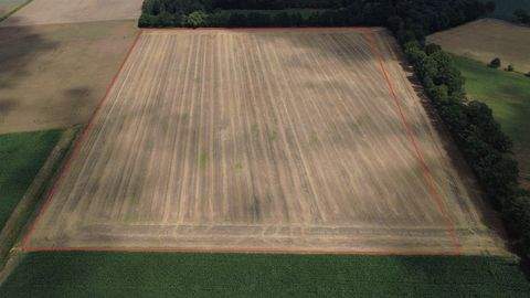 Rahden-Varl Bauernhöfe, Landwirtschaft, Rahden-Varl Forstwirtschaft