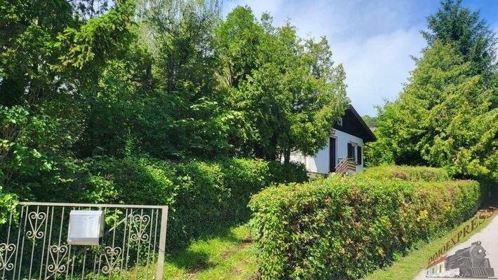 20240530_105244_resized