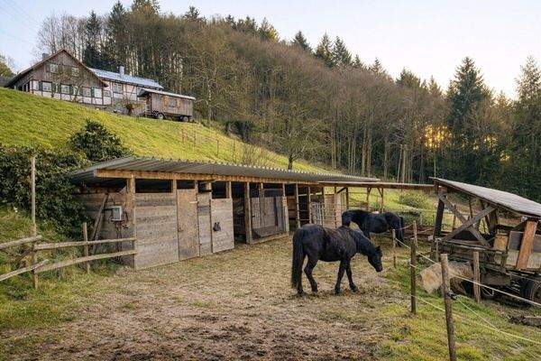 Stallungen unterhalb des Hauses