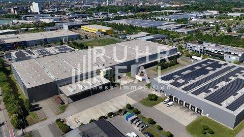 Münster Halle, Münster Hallenfläche