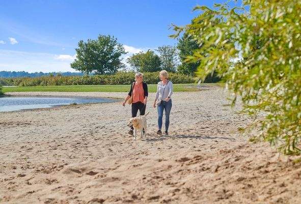 Ferienhaus Holland kaufen 17