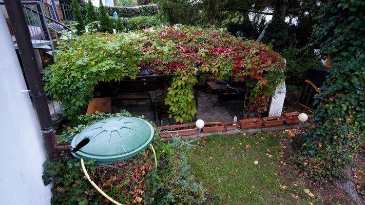 Blick auf den idyllisch überwachsenen Sitzbereich