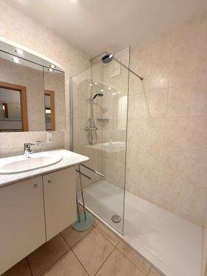 begehbare, moderne Dusche