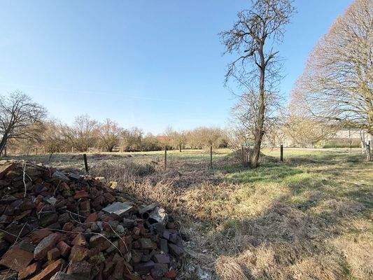 Blick vom Altbestand