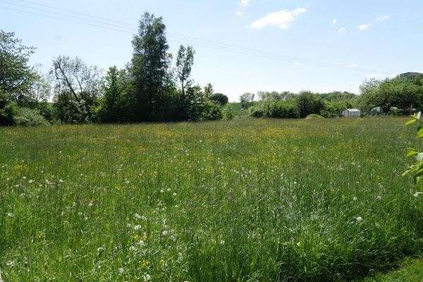 angrenzende Wiesen2.JPG