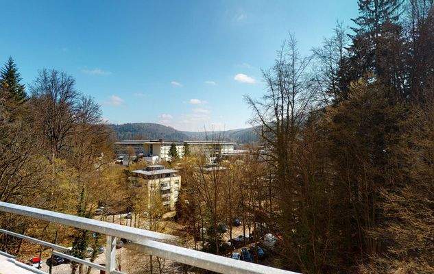 2-Zi-Penthouse, Ausblick