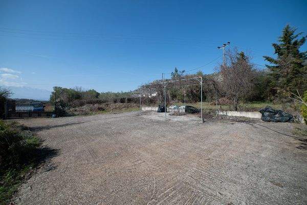 Krinides-Tsiriktsidou 23-02-2024-41.jpg