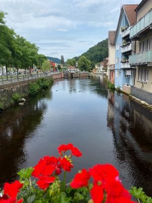 an der Enz