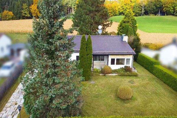 Luftbild mit Altbestand