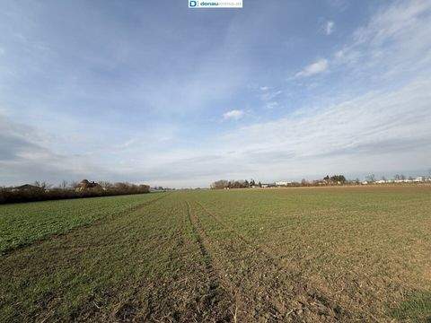 Nitzing Grundstücke, Nitzing Grundstück kaufen