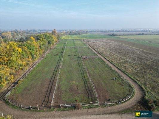 Trainingsbahn mit Koppel 3