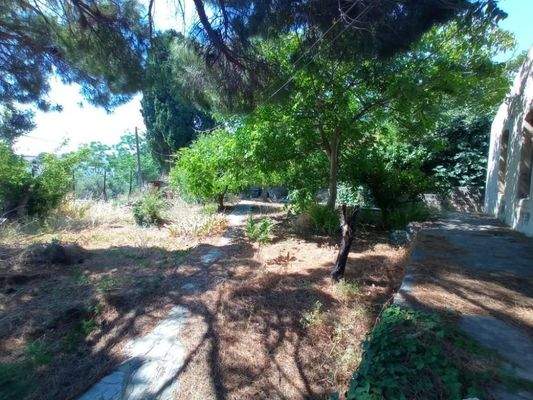 Kreta, Neapoli: Großes Steinhaus mit unvollendetem Gästehaus, Olivenhain und Garten zu verkaufen