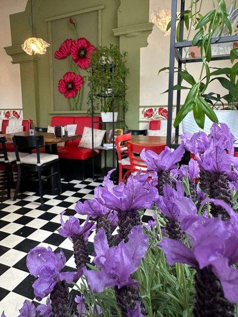 Plauen Gastronomie, Pacht, Gaststätten