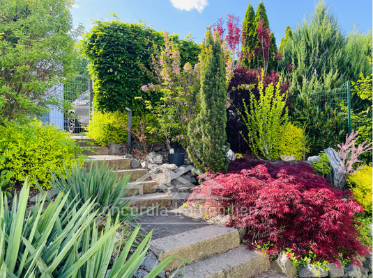 uneinsehbarer Garten