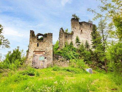 Sankt Stefan ob Leoben Bauernhöfe, Landwirtschaft, Sankt Stefan ob Leoben Forstwirtschaft