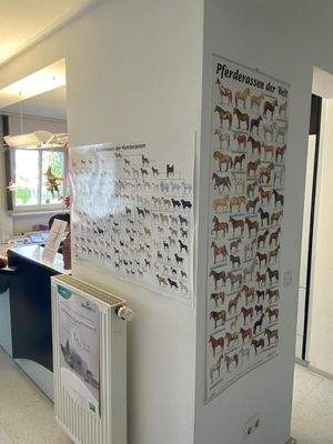 WhatsApp Image 2021-09-13 at 131836 (11)