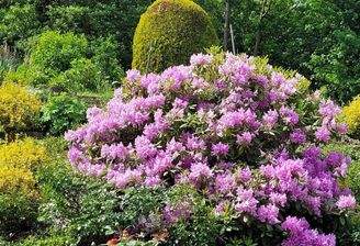 Sommerblick in den Garten