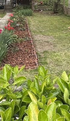 IMG_7073.jpeg