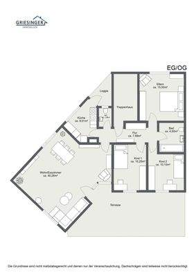 EG-OG - 2D Grundriss