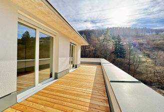 Foto 07.02.24, 11 42 02