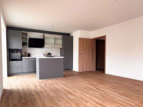 Groß Rheide Wohnungen, Groß Rheide Wohnung mieten
