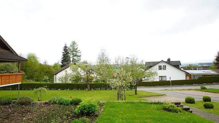 Blick vom Büro in die Natur