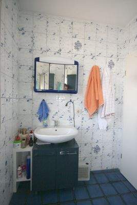 Tageslicht-Duschbad (Bild 02)