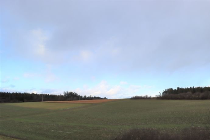 Renovierte 4,5 Zi. Eigentumswohnung mit Blick ins Freie und auf die Innenstadt