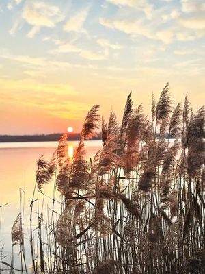 Wohnen wie im Urlaub