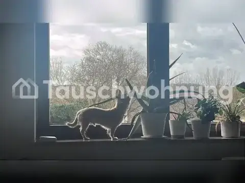 Bad Abbach Wohnungen, Bad Abbach Wohnung mieten