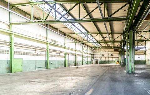 Bad Münstereifel Halle, Bad Münstereifel Hallenfläche