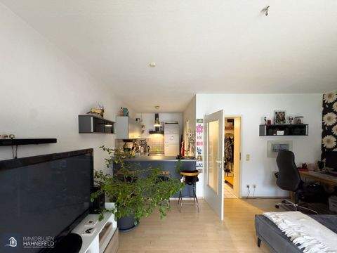 Diez Wohnungen, Diez Wohnung mieten