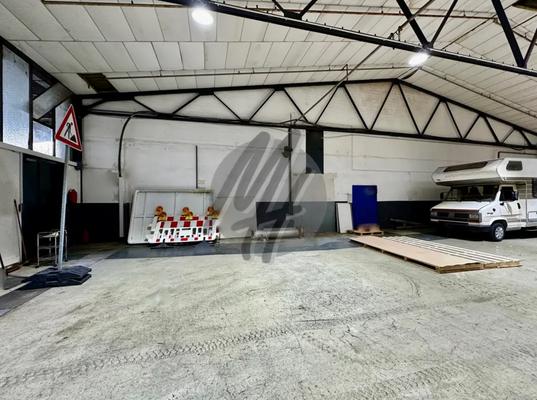 INFOS UNTER: 06171-586000