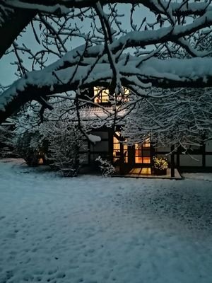 Winterimpression