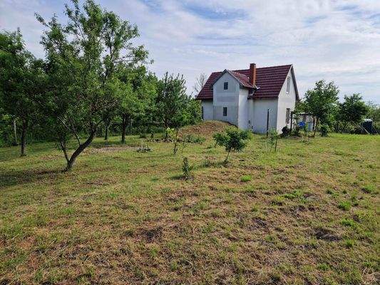 20250507_084559 (1).jpg