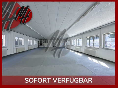 Sulzbach am Main Halle, Sulzbach am Main Hallenfläche