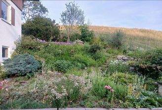 Gemeinschaftsgarten SÜD-WEST