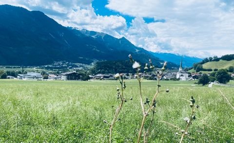 Wiesing Grundstücke, Wiesing Grundstück kaufen