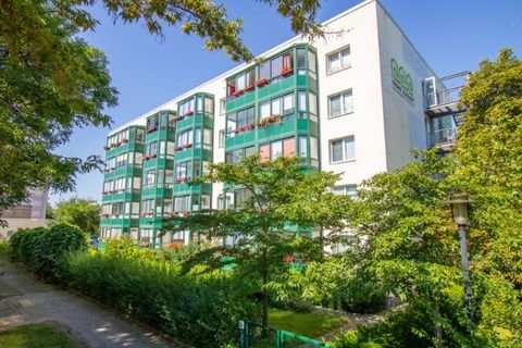 Halle (Saale) Wohnungen, Halle (Saale) Wohnung mieten