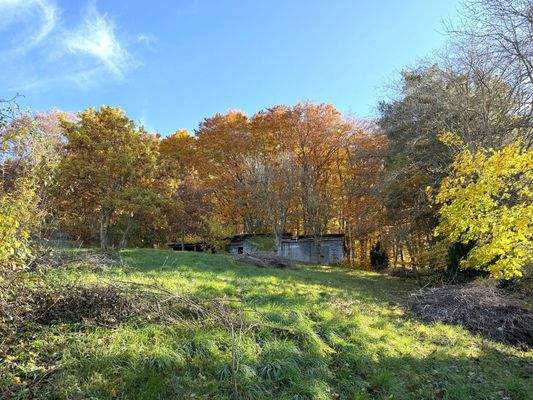 Am Waldrand Starnberg