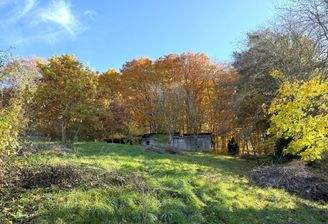 Am Waldrand Starnberg