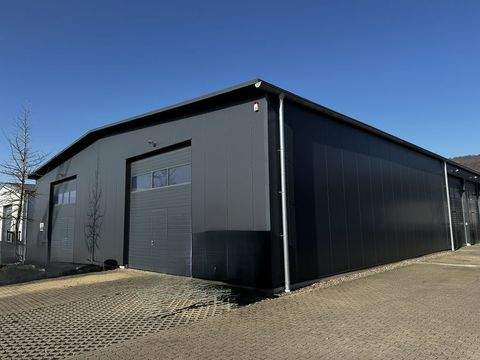 Trier Halle, Trier Hallenfläche