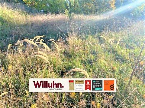 Schönwölkau Grundstücke, Schönwölkau Grundstück kaufen