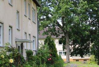 2 - Kopie.JPG
